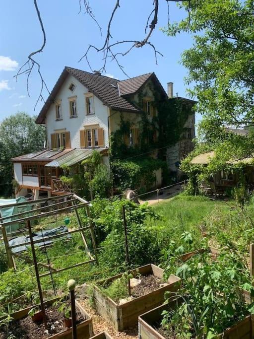 Naturoase Saentisblick-auszeit Am Wald Und Bach Apartment