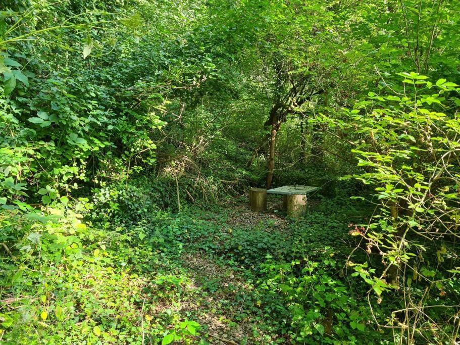 Apartment Naturoase Saentisblick-auszeit Am Wald Und Bach *